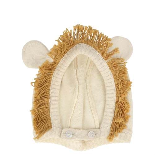 Aslan Bebek Başlığı resmi